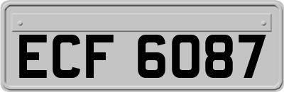 ECF6087