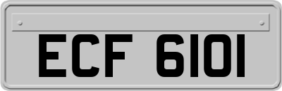 ECF6101