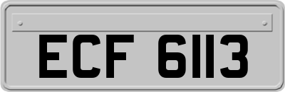 ECF6113