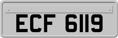 ECF6119