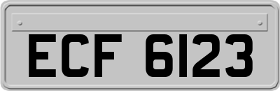 ECF6123