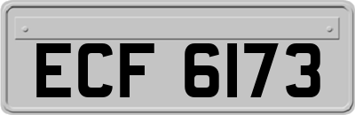 ECF6173