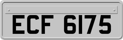 ECF6175