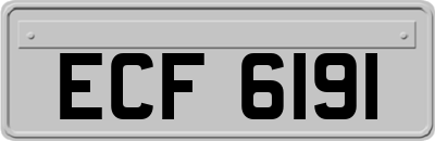 ECF6191