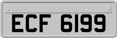 ECF6199