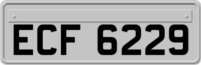 ECF6229