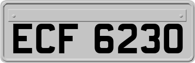 ECF6230