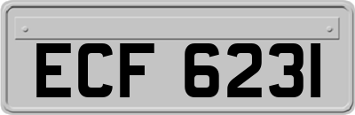 ECF6231