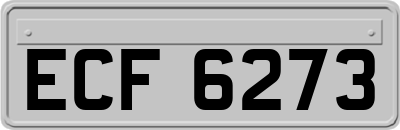 ECF6273