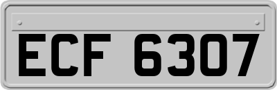 ECF6307