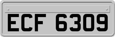 ECF6309