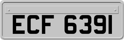 ECF6391