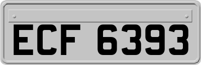 ECF6393