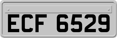 ECF6529