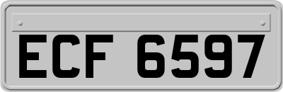 ECF6597
