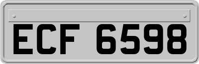 ECF6598