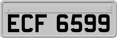 ECF6599