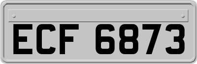 ECF6873
