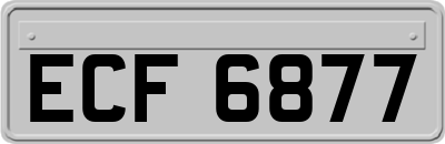 ECF6877