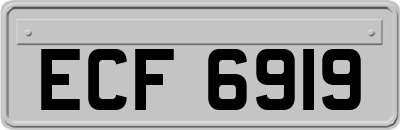 ECF6919