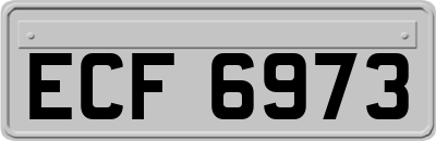 ECF6973