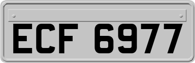 ECF6977