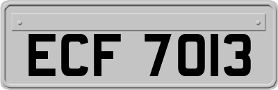 ECF7013