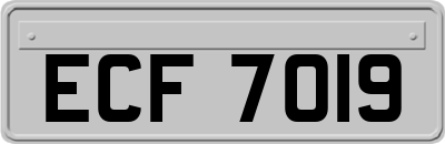 ECF7019