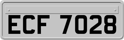ECF7028