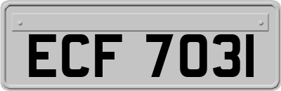 ECF7031