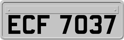 ECF7037