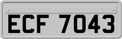ECF7043