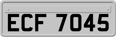 ECF7045