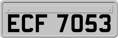 ECF7053