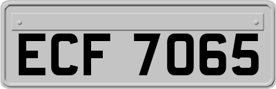 ECF7065
