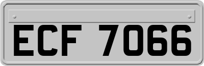 ECF7066