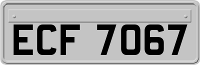 ECF7067