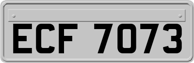 ECF7073