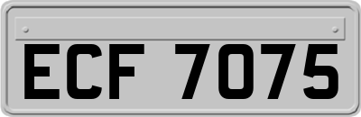 ECF7075