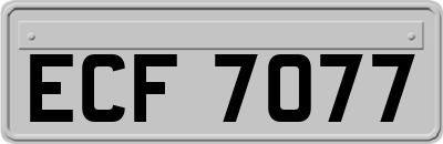 ECF7077