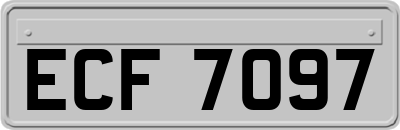 ECF7097