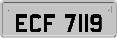 ECF7119