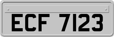 ECF7123