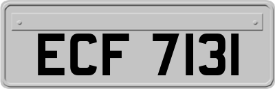 ECF7131