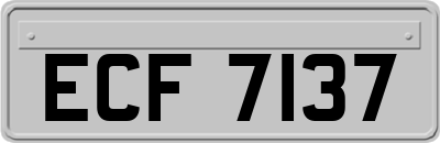 ECF7137
