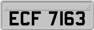 ECF7163
