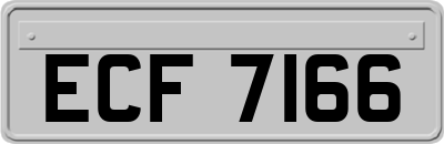 ECF7166