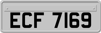ECF7169