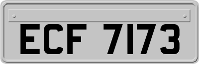 ECF7173