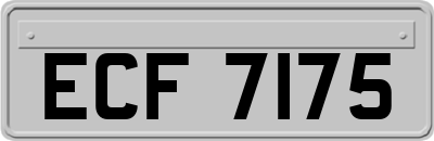 ECF7175